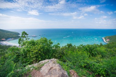 Tasarım için tekne ağacı kaya ve alan ile Güzel Deniz
