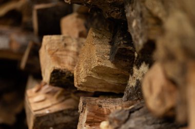 Bir woodpile farklı yaprak döken ağaçların yakacak odun