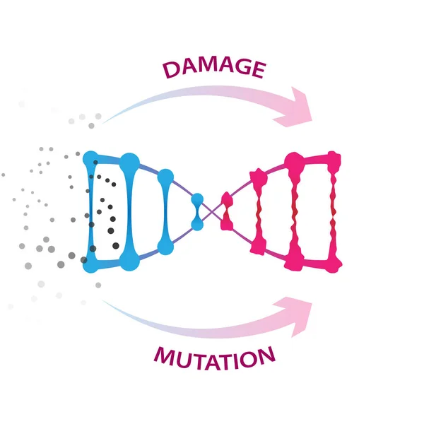 Zewnętrzne Czynniki Które Powodują Uszkodzeń Dna Mutacji Ilustracja Wektorowa Medyczny — Wektor stockowy