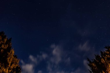 Yıldızlı mavi gece gökyüzü, hareket eden beyaz bulutlar ve ağaçlar. Yukarıya bak, aşağıdan bak
