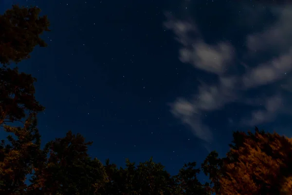 Cielo Azul Nocturno Con Estrellas Nubes Blancas Movimiento Árboles Mira — Foto de Stock