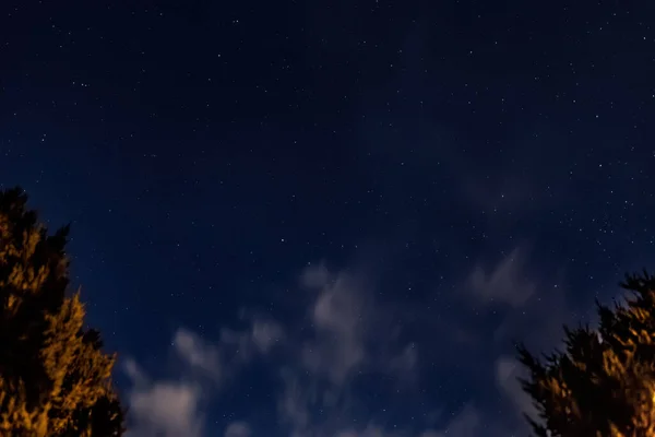 Blue night sky with stars, white moving clouds and trees. Look up, view from below