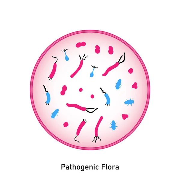 Bakteriális Mikroorganizmus Egy Körben Bőr Nyálkahártyák Patogén Flórája Lapos Stílus — Stock Fotó