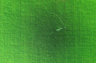 Uçak uçan üzerinden havadan görünümü. Taylandlı çiftçi genç yeşil pirinç alan kimyasal püskürtme. Tarım kavramı