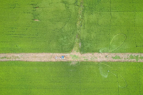 Vue Aérienne Depuis Drone Volant Fermier Thaïlandais Pulvérisation Chimique Jeune — Photo