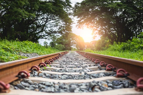 Bahngleise Eisenbahn Mit Stein Fährt Durch Den Wald — Stockfoto