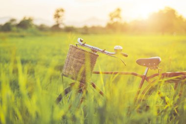 Kırmızı Japonya tarzı klasik Bisiklet günbatımı zamanında yeşil alan