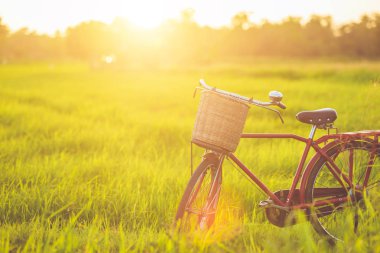 Kırmızı Japonya tarzı klasik Bisiklet günbatımı zamanında yeşil alan