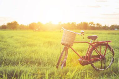 Kırmızı Japonya tarzı klasik Bisiklet günbatımı zamanında yeşil alan