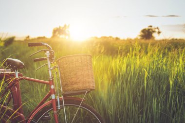 Kırmızı Japonya tarzı klasik Bisiklet günbatımı zamanında yeşil alan