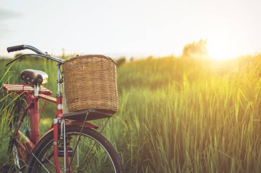 Kırmızı Japonya tarzı klasik Bisiklet günbatımı zamanında yeşil alan