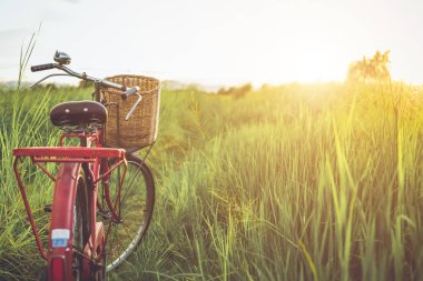 Kırmızı Japonya tarzı klasik Bisiklet günbatımı zamanında yeşil alan