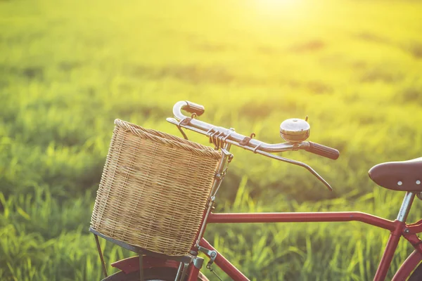 Kırmızı Japonya tarzı klasik Bisiklet günbatımı zamanında yeşil alan