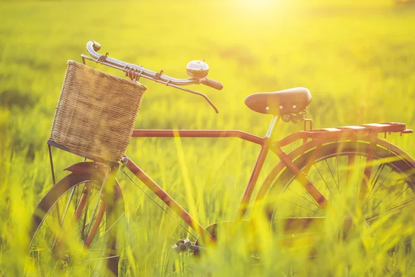 Red Japan Stijl Klassieke Fiets Het Groene Veld Zonsondergang Tijd — Stockfoto