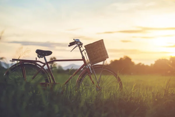 Bicicleta Clássica Estilo Vermelho Japão Campo Verde Pôr Sol — Fotografia de Stock