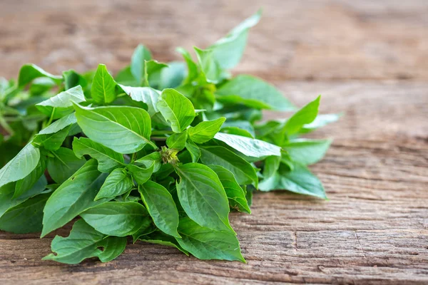 Ahşap masa arka plan Yeşil taze fesleğen yaprağı kapatın. Gıda kavramı