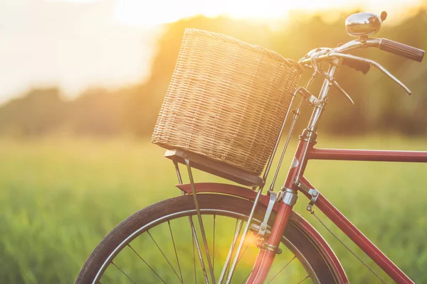 Red Japan style classic bicycle at the green field in sunset time