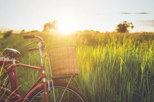 Rotes Klassisches Fahrrad Japanischen Stil Auf Der Grünen Wiese Bei — Stockfoto