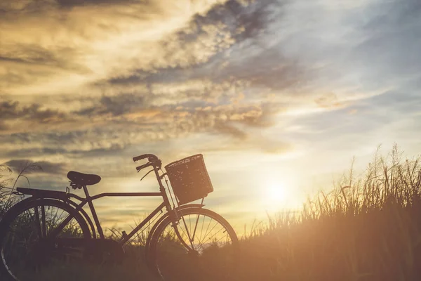 Silueta Estilo Japonés Bicicleta Clásica Campo Hora Puesta Del Sol — Foto de Stock