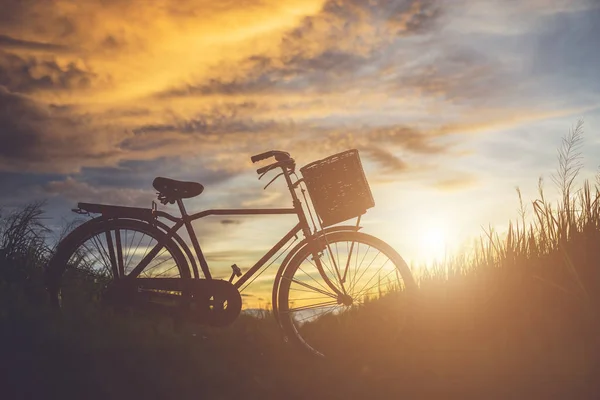 Silhouet Van Japan Stijl Klassieke Fiets Bij Veld Zonsondergang Tijd — Stockfoto