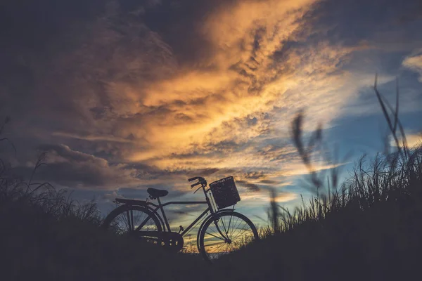 Silhouette of Japan style classic bicycle at field in sunset time