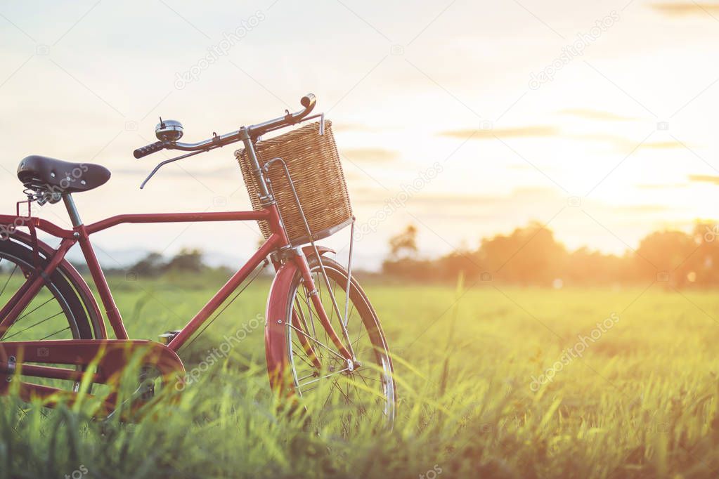 Red Japan style classic bicycle at the green field in sunset time