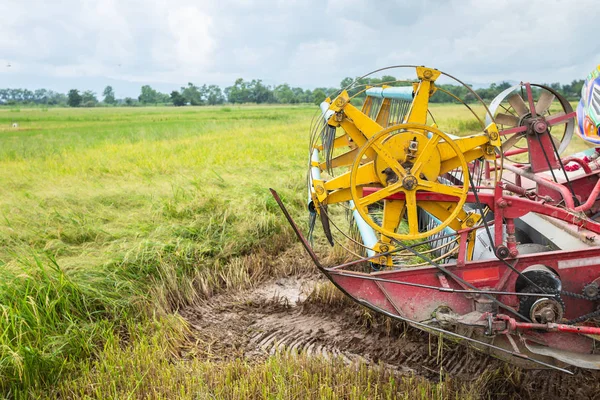 Les Gens Sur Machine Récolte Agriculture Récolte Dans Rizière Travail — Photo