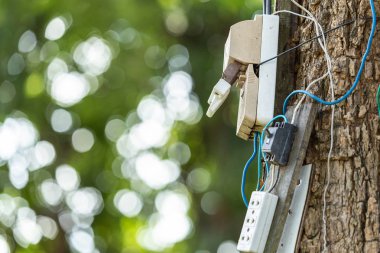 Tehlikeli elektrik kablo ve ekipman Park ağaç set up