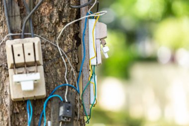 Tehlikeli elektrik kablo ve ekipman Park ağaç set up