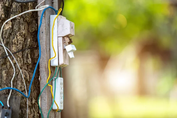 Câble Électrique Dangereux Équipement Installé Sur Arbre Dans Parc — Photo