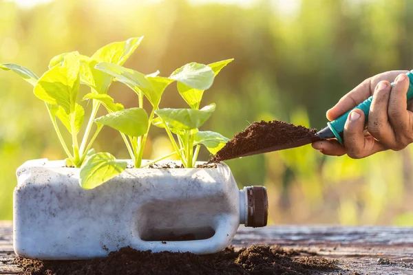 Concepto Reciclaje Plástico Personas Plantando Vegetales Botella Plástico Montón Tierra — Foto de Stock