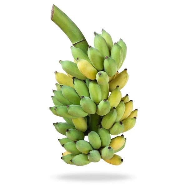 Banana Cultivada Tailandesa Fresca Isolada Fundo Branco Salvo Com Caminho — Fotografia de Stock