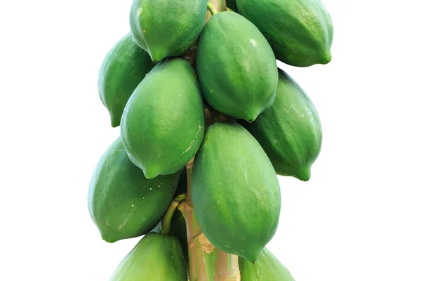 Gruppe Grüner Papaya Auf Dem Baum Und Isoliert Auf Weißem — Stockfoto