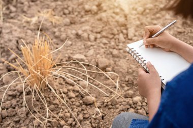 Asyalı öğrenci araştırma yapıyor veya boş arazikuru toprak kontrol 