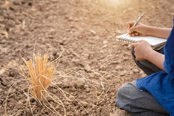 Азіатський студент робить дослідження або перевіряти сухий грунт на порожній землі — стокове фото