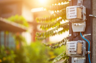 Direğe watt 'ı ölçmek için elektrik sayacı yerleştirildi 
