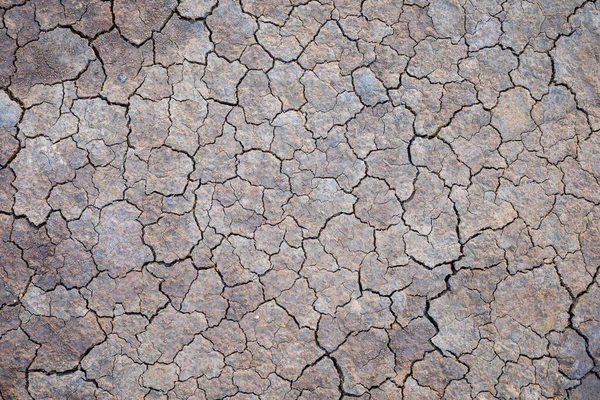 Šedá suchá půda nebo bahno textura pro pozadí — Stock fotografie