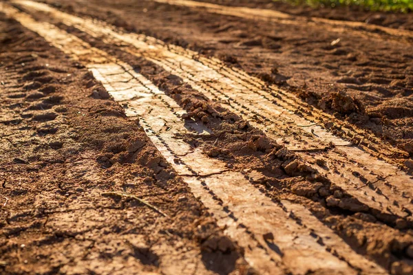 Колесная дорожка на влажной почве или грязи — стоковое фото