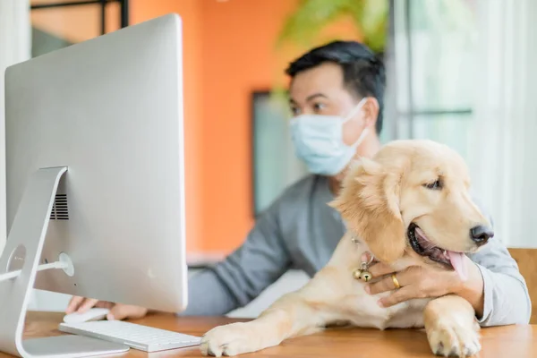 Asian man wearing preventive mask and working from home and take care his dog in situation of Corona Virus Disease (COVID-19). Work from home and Healthy concept. Focus on dog