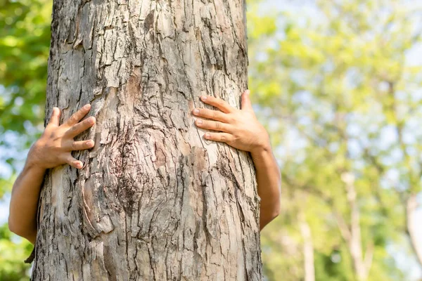 Abrazando Árboles Hombre Asiático Dando Abrazo Gran Abrazo Árbol Teca — Foto de Stock