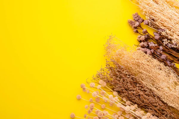 Top View Ξηρό Χρώμα Γρασίδι Λουλούδι Για Εσωτερική Διακόσμηση Κίτρινο — Φωτογραφία Αρχείου