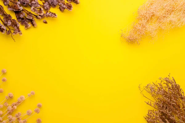 Top View Suchy Kolor Trawy Kwiat Dekoracji Wnętrz Żółtym Tle — Zdjęcie stockowe