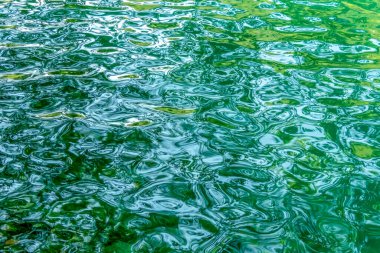 Slovenya 'da bir gölde yeşil dalgalar