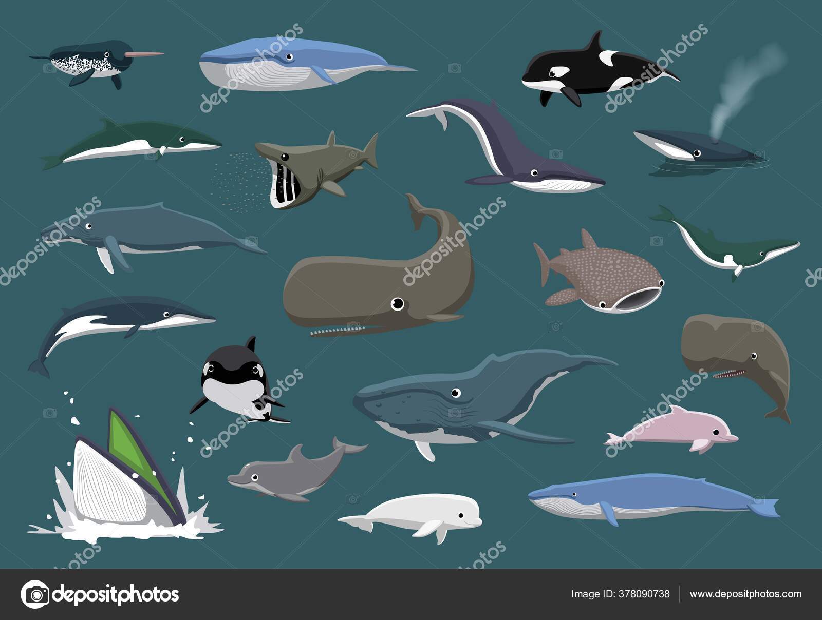 各种鲸鱼集卡通矢量图解图库矢量图©Punnawich 378090738