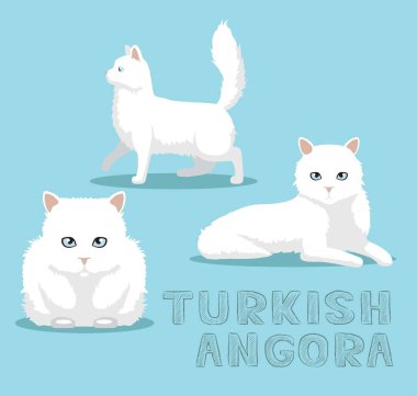 Cat Turkish Angora Çizgi Film Vektörü İllüstrasyonu