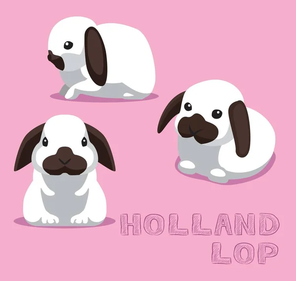 Rabbit Holland Lop Cartoon Vector Illustration — Stockvektor