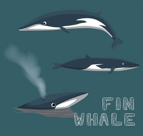 Fin Whale Cartoon Vector Ilustração — Vetor de Stock
