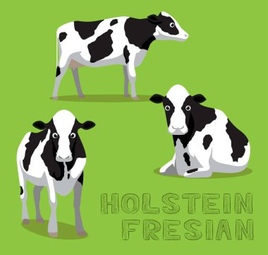 Cow Holstein Friesian Çizgi Film Vektör İllüstrasyonu