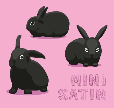 Tavşan Mini Saten Çizgi Film Vektörü İllüstrasyonu