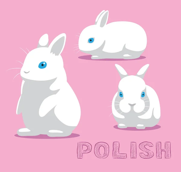 Kaninchen Polnische Cartoon Vector Illustration — Stockvektor